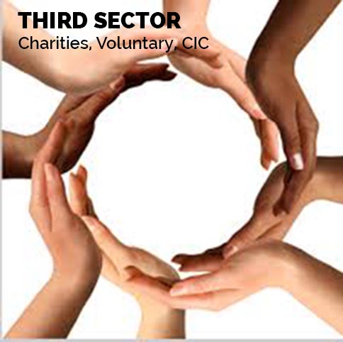 Third Sector